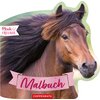 Miniaturansicht: COPPENRATH Malbuch mit Formstanzung Pferdefreunde &ndash; Ansicht 1