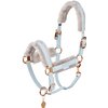ESKADRON Platinum Halfter Doublepin Metallic Faux Leather FF