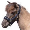 Miniaturansicht: Horse-friends Islandhalfter Fleece Keflavik – Ansicht 1