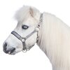 Horse-friends Halfter Piccolino II