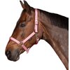 Miniaturansicht: Horse-friends Webhalfter Pin Buckle &ndash; Ansicht 2