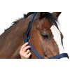 Miniaturansicht: Horse-friends Sicherheits-Halfter – Ansicht 3