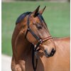 Miniaturansicht: Horse-friends Halfter Deutschland WM 2026 &ndash; Ansicht 1