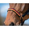 Miniaturansicht: Horse-friends Halfter Deutschland WM 2026 &ndash; Ansicht 2