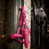 Miniaturansicht: HORSEWARE Halfter und Führstrick Newmarket – Ansicht 4