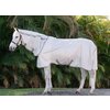 Miniaturansicht: HORSEWARE Fliegendecke AMIGO Integrated Fly Sheet – Ansicht 1