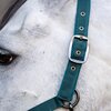 Miniaturansicht: HORSEWARE Halfter und Führstrick – Ansicht 5