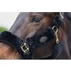 Miniaturansicht: Horse-friends Plüschhalfter Almada – Ansicht 4