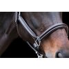 EQUINE MICROTEC Lederhalfter mit Kontrastnähten