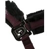 Cavallo Halfter Hafida