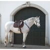 Miniaturansicht: Cheval de Luxe Trensenzaum Miami &ndash; Ansicht 5