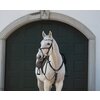 Miniaturansicht: Cheval de Luxe Trensenzaum Miami &ndash; Ansicht 6