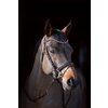 Miniaturansicht: Cheval de Luxe Trensenzaum San Francisco – Ansicht 5