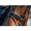 Miniaturansicht: Cheval de Luxe Trensenzaum San Francisco – Ansicht 9