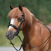 MONTIVUM Pony- und Shetty-Trensenzaum Managua