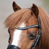 MONTIVUM Pony- und Shetty-Trensenzaum Managua