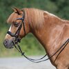 MONTIVUM Pony- und Shetty-Trensenzaum Managua