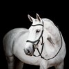 Miniaturansicht: HORSEWARE Micklem Competition Bridle 3.0 – Ansicht 1