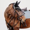 DÖBERT Trensenzaum München Premium