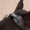 Miniaturansicht: stübben Trense Freedom &ndash; Ansicht 5