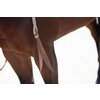 Miniaturansicht: Passion 4Q Westernzügel Romal Reins Rawhide – Ansicht 5
