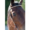Miniaturansicht: Passion 4Q Westerntrense – Ansicht 4