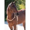Miniaturansicht: Passion 4Q Westerntrense – Ansicht 2
