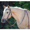 Miniaturansicht: Passion 4Q Westerntrense – Ansicht 1