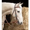 Miniaturansicht: L-pro West Westerntrense &ndash; Ansicht 2