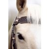 Miniaturansicht: Passion 4Q Western-Trense &ndash; Ansicht 4