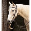 Miniaturansicht: Passion 4Q Westerntrense &ndash; Ansicht 2