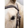 Miniaturansicht: Passion 4Q Westerntrense &ndash; Ansicht 3