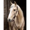 Miniaturansicht: L-pro West Westerntrense &ndash; Ansicht 1