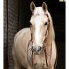 Miniaturansicht: L-pro West Westerntrense &ndash; Ansicht 1