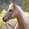 Miniaturansicht: Passion 4Q Einohr-Westerntrense – Ansicht 1