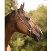 Miniaturansicht: SUENO PETS 2 in 1 Halsring &ndash; Ansicht 2