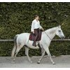 Miniaturansicht: SUENO PETS 2 in 1 Halsring &ndash; Ansicht 2