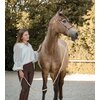 Miniaturansicht: SUENO PETS 2 in 1 Halsring &ndash; Ansicht 3