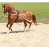 Miniaturansicht: Horse-friends Longiersystem – Ansicht 1