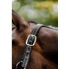 Miniaturansicht: HORSEWARE Halfter Fieldsafe &ndash; Ansicht 5