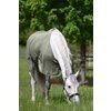 Miniaturansicht: Horse-friends Fliegendecke feinmaschig – Ansicht 3