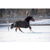 Cheval de Luxe Outdoordecke Nantes Basic 50 g