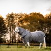 HORSEWARE Outdoor-/Weidedecke RHINO Hexstop Plus mit Vari-Layer