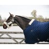 KENTUCKY Stalldecke Classic 200 g