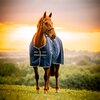 Miniaturansicht: HORSEWARE Weidedecke AMIGO Ripstop 900 Fleece Lining, 50 g – Ansicht 2
