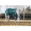 Miniaturansicht: Horse-friends Outdoordecke Hamburg II 0g &ndash; Ansicht 8