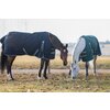 Miniaturansicht: Horse-friends Outdoordecke Hamburg II 0g &ndash; Ansicht 7