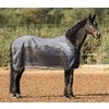 EQUINE-MICROTEC Multifunktionsdecke Flanell Touch