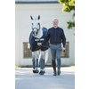Miniaturansicht: EQUINE-MICROTEC Fleece Bandagen CLASSIC &ndash; Ansicht 4