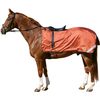 Horse-friends Ausreitdecke Bremen